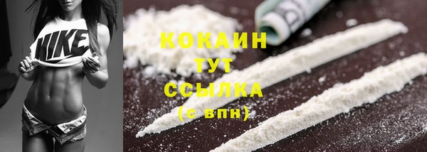 твердый Арсеньев