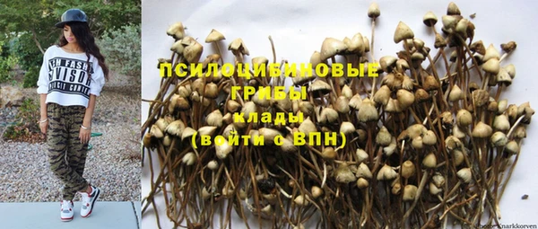 ГАЛЛЮЦИНОГЕННЫЕ ГРИБЫ Армянск
