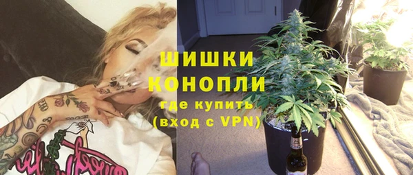 твердый Арсеньев