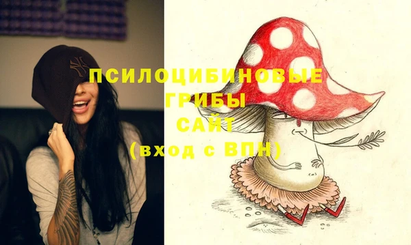 ГАЛЛЮЦИНОГЕННЫЕ ГРИБЫ Армянск