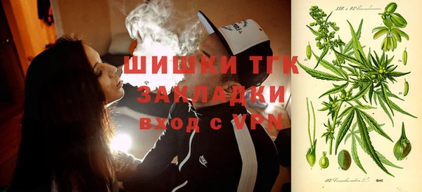 твердый Арсеньев