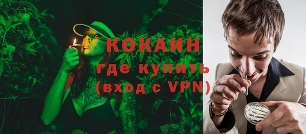 твердый Арсеньев