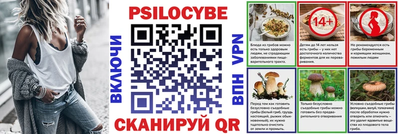 как найти закладки  Серафимович  Псилоцибиновые грибы Psilocybe 